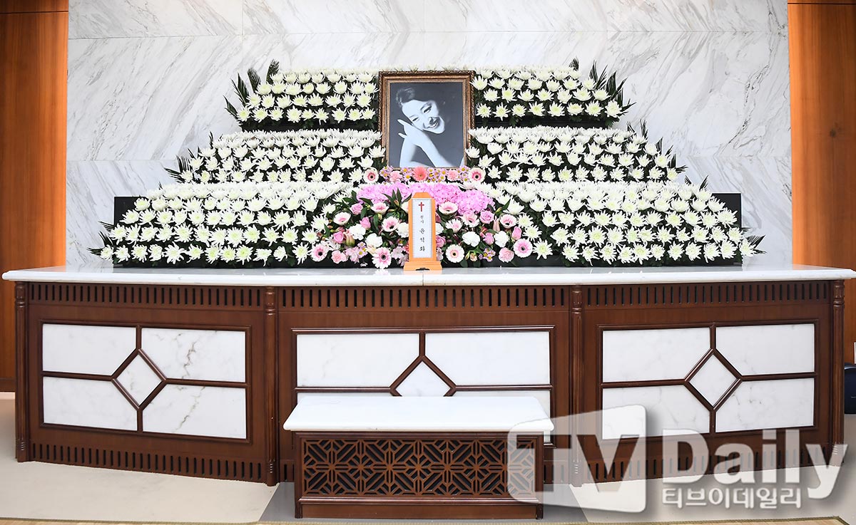 ƼºêÀ̵¥Àϸ® Æ÷Åä