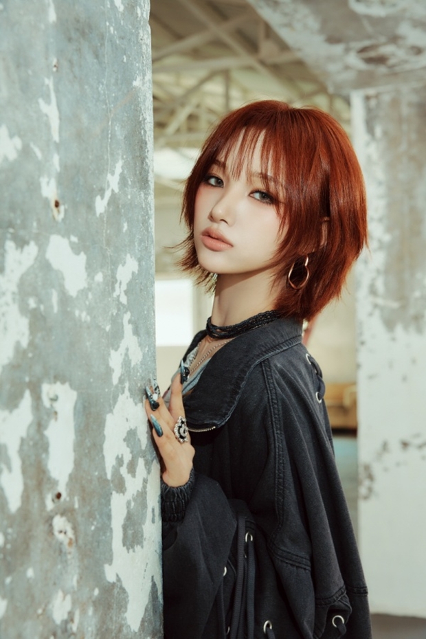 ƼºêÀ̵¥Àϸ® Æ÷Åä