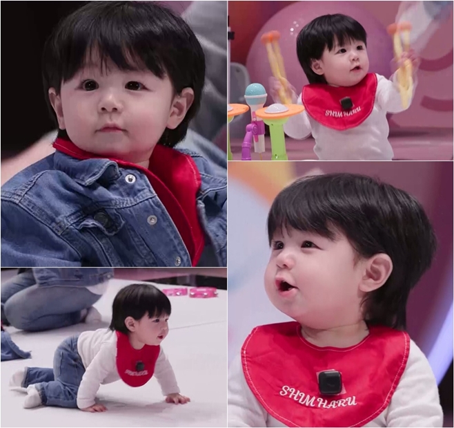 KBS2 ���۸��� ���ƿԴ�, ����, ����Ź �Ƶ� �Ϸ�