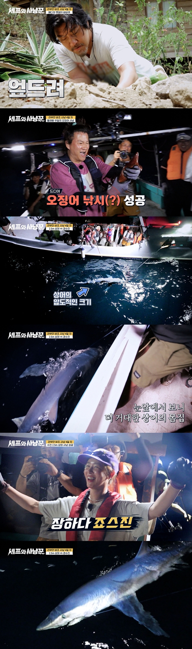 ������ ��ɲ�