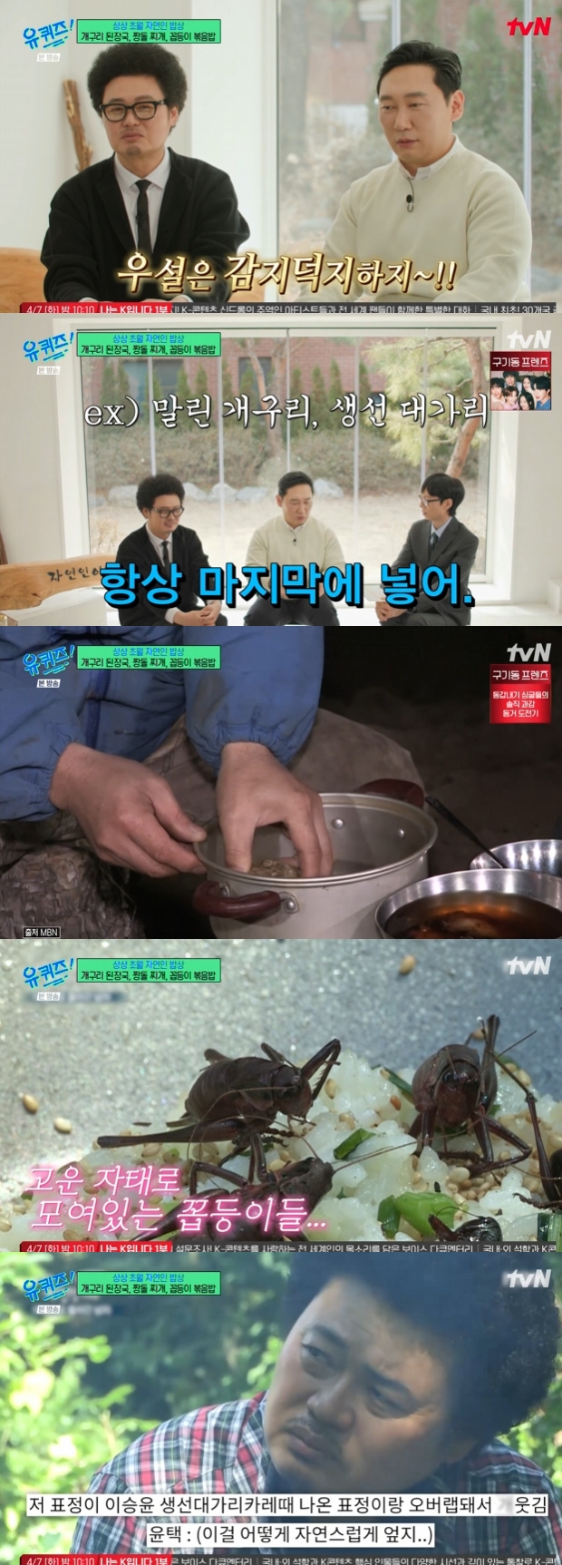 ƼºêÀ̵¥Àϸ® Æ÷Åä