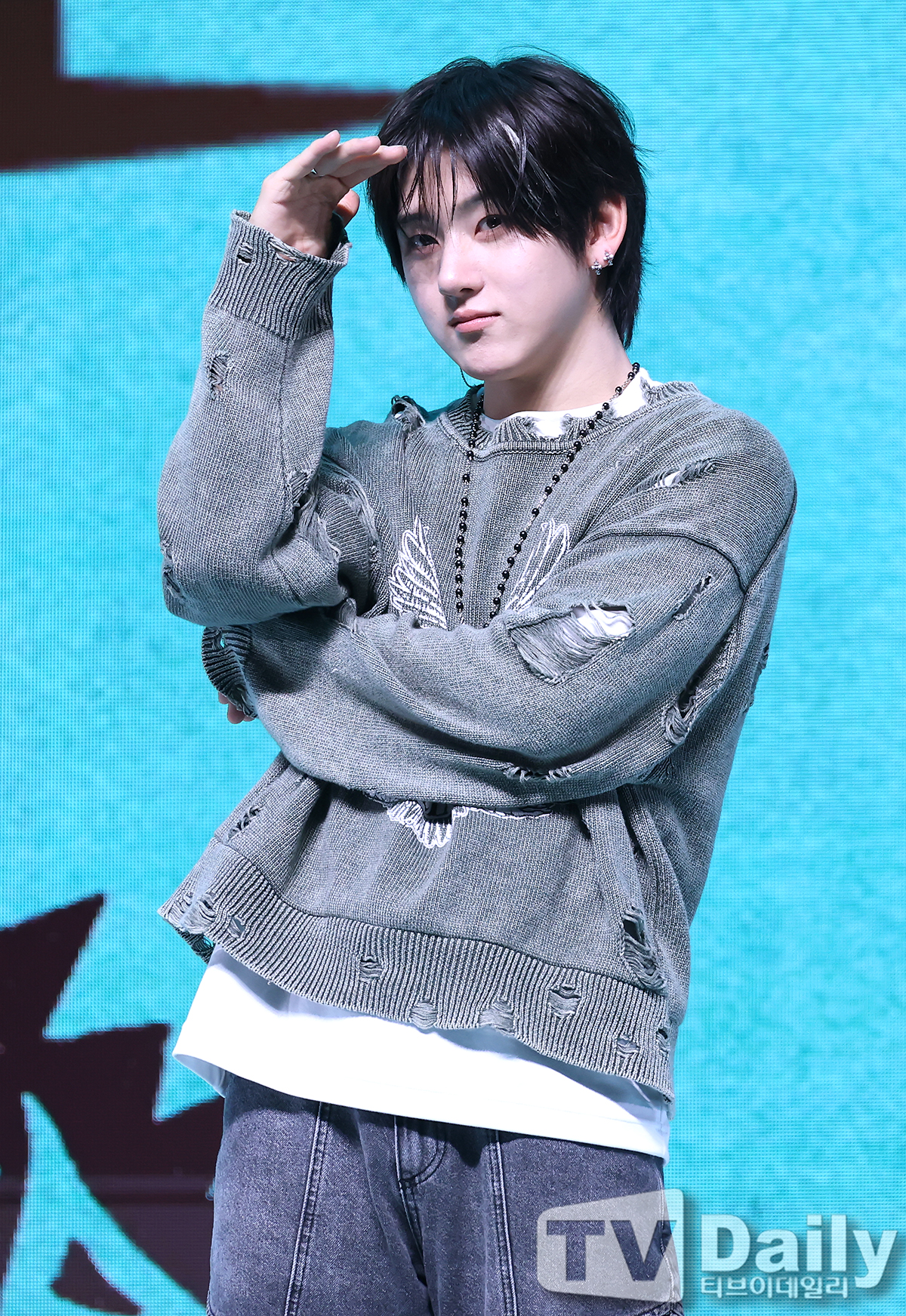 ƼºêÀ̵¥Àϸ® Æ÷Åä