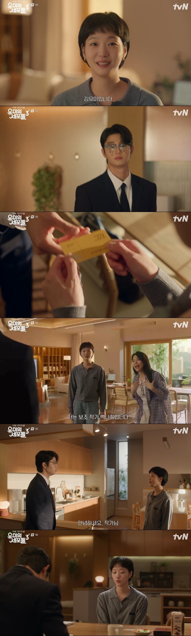 ƼºêÀ̵¥Àϸ® Æ÷Åä