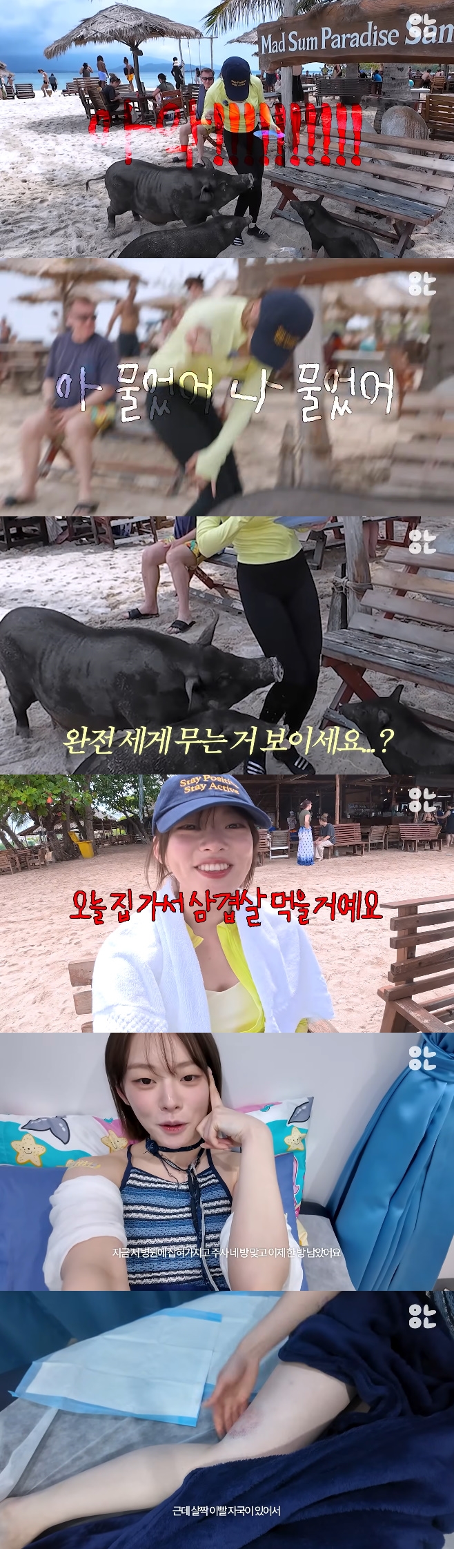 Ƽ���̵��ϸ� ����