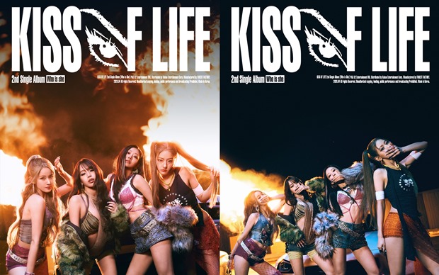 Ű�����������