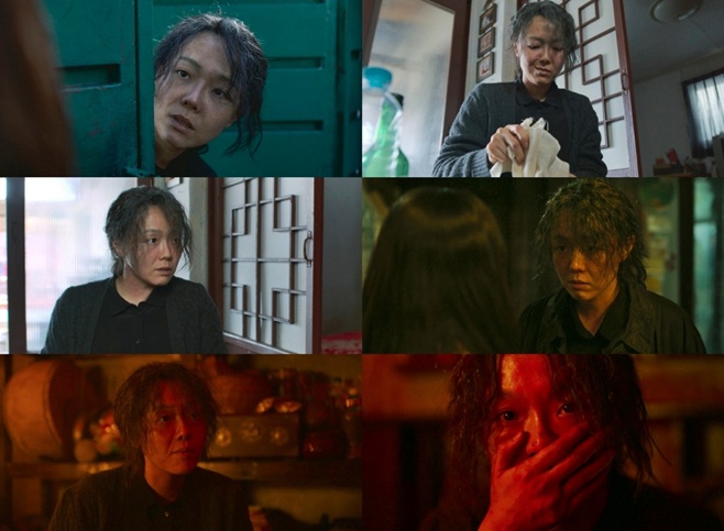 ���ø��� �⸮��, �̻���