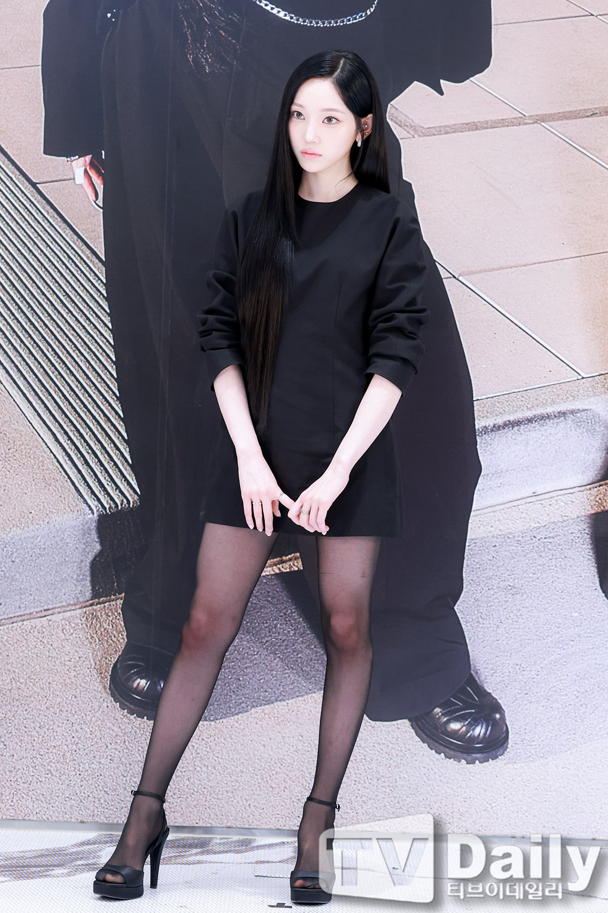 티브이데일리 포토
