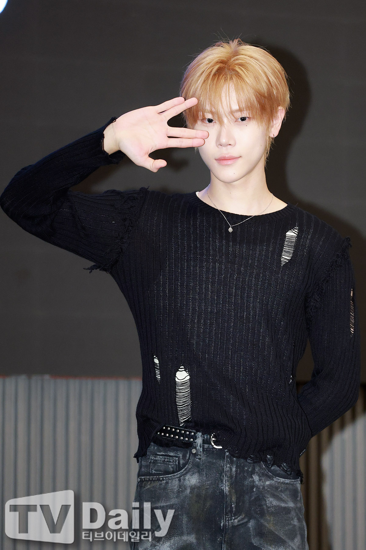 티브이데일리 포토