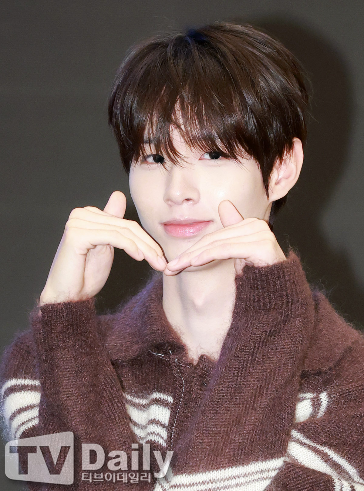 티브이데일리 포토