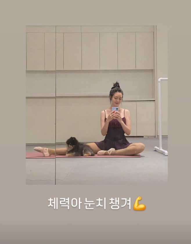 티브이데일리 포토