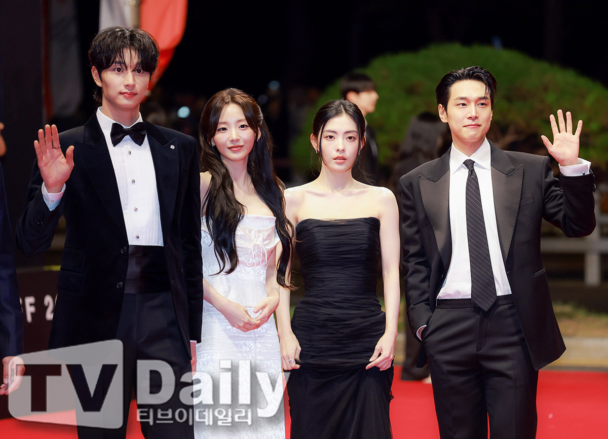 티브이데일리 포토