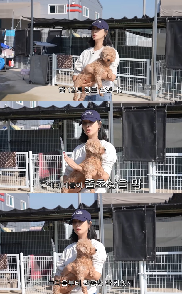고소영