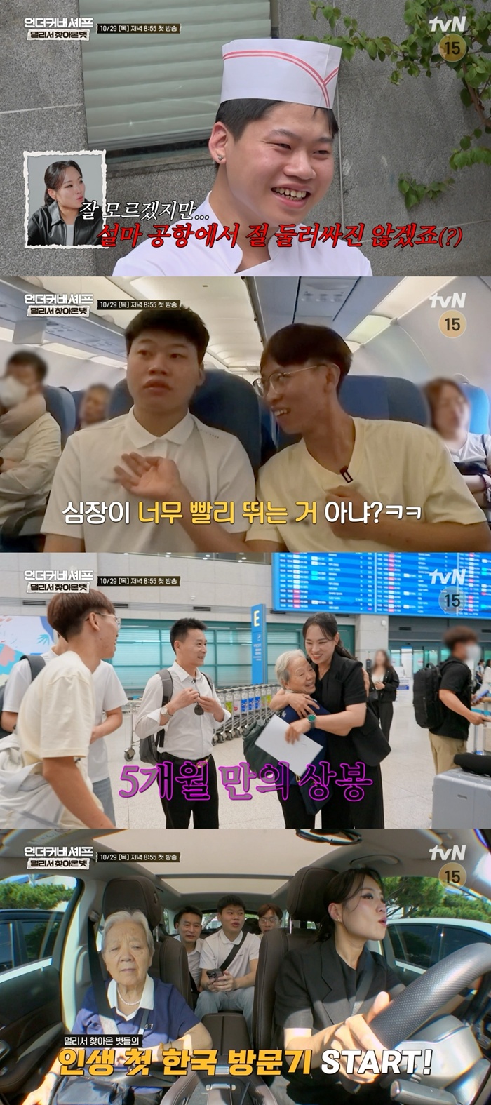 tvN 언더커버 셰프